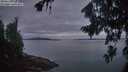 ./images/koeye/fitz-hugh/20260824/fitz-hugh20260824_060501M.jpg