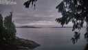 ./images/koeye/fitz-hugh/20260824/fitz-hugh20260824_061001M.jpg