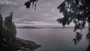 ./images/koeye/fitz-hugh/20260824/fitz-hugh20260824_061501M.jpg