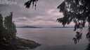 ./images/koeye/fitz-hugh/20260824/fitz-hugh20260824_062001M.jpg