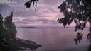 ./images/koeye/fitz-hugh/20260824/fitz-hugh20260824_062502M.jpg