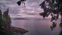 ./images/koeye/fitz-hugh/20260824/fitz-hugh20260824_063001M.jpg