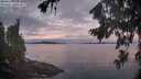 ./images/koeye/fitz-hugh/20260824/fitz-hugh20260824_063501M.jpg