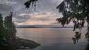 ./images/koeye/fitz-hugh/20260824/fitz-hugh20260824_064001M.jpg