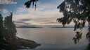 ./images/koeye/fitz-hugh/20260824/fitz-hugh20260824_065501M.jpg