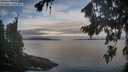 ./images/koeye/fitz-hugh/20260824/fitz-hugh20260824_070001M.jpg