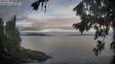 ./images/koeye/fitz-hugh/20260824/fitz-hugh20260824_070501M.jpg