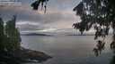 ./images/koeye/fitz-hugh/20260824/fitz-hugh20260824_071001M.jpg