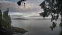./images/koeye/fitz-hugh/20260824/fitz-hugh20260824_071501M.jpg