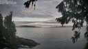 ./images/koeye/fitz-hugh/20260824/fitz-hugh20260824_072001M.jpg