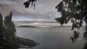 ./images/koeye/fitz-hugh/20260824/fitz-hugh20260824_072501M.jpg