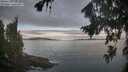 ./images/koeye/fitz-hugh/20260824/fitz-hugh20260824_073501M.jpg