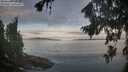 ./images/koeye/fitz-hugh/20260824/fitz-hugh20260824_074002M.jpg
