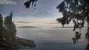./images/koeye/fitz-hugh/20260824/fitz-hugh20260824_074501M.jpg