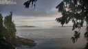 ./images/koeye/fitz-hugh/20260824/fitz-hugh20260824_075001M.jpg