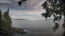 ./images/koeye/fitz-hugh/20260824/fitz-hugh20260824_075501M.jpg