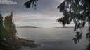./images/koeye/fitz-hugh/20260824/fitz-hugh20260824_080001M.jpg
