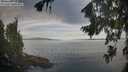 ./images/koeye/fitz-hugh/20260824/fitz-hugh20260824_080501M.jpg