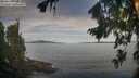./images/koeye/fitz-hugh/20260824/fitz-hugh20260824_081001M.jpg