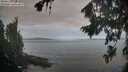 ./images/koeye/fitz-hugh/20260824/fitz-hugh20260824_083002M.jpg