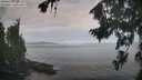 ./images/koeye/fitz-hugh/20260824/fitz-hugh20260824_083501M.jpg