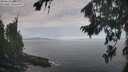 ./images/koeye/fitz-hugh/20260824/fitz-hugh20260824_084001M.jpg