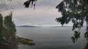 ./images/koeye/fitz-hugh/20260824/fitz-hugh20260824_085001M.jpg