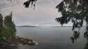 ./images/koeye/fitz-hugh/20260824/fitz-hugh20260824_085501M.jpg
