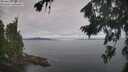 ./images/koeye/fitz-hugh/20260824/fitz-hugh20260824_090502M.jpg