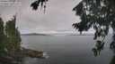 ./images/koeye/fitz-hugh/20260824/fitz-hugh20260824_091001M.jpg