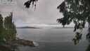 ./images/koeye/fitz-hugh/20260824/fitz-hugh20260824_092001M.jpg