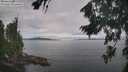 ./images/koeye/fitz-hugh/20260824/fitz-hugh20260824_092501M.jpg