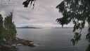 ./images/koeye/fitz-hugh/20260824/fitz-hugh20260824_093001M.jpg