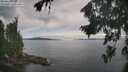 ./images/koeye/fitz-hugh/20260824/fitz-hugh20260824_094001M.jpg