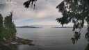 ./images/koeye/fitz-hugh/20260824/fitz-hugh20260824_094501M.jpg