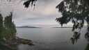 ./images/koeye/fitz-hugh/20260824/fitz-hugh20260824_095001M.jpg