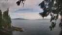 ./images/koeye/fitz-hugh/20260824/fitz-hugh20260824_100501M.jpg