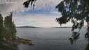 ./images/koeye/fitz-hugh/20260824/fitz-hugh20260824_101002M.jpg