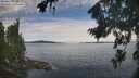./images/koeye/fitz-hugh/20260824/fitz-hugh20260824_101501M.jpg