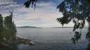 ./images/koeye/fitz-hugh/20260824/fitz-hugh20260824_102501M.jpg