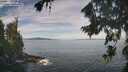 ./images/koeye/fitz-hugh/20260824/fitz-hugh20260824_104001M.jpg