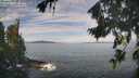 ./images/koeye/fitz-hugh/20260824/fitz-hugh20260824_104502M.jpg