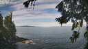 ./images/koeye/fitz-hugh/20260824/fitz-hugh20260824_105501M.jpg