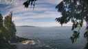 ./images/koeye/fitz-hugh/20260824/fitz-hugh20260824_110001M.jpg