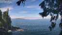 ./images/koeye/fitz-hugh/20260824/fitz-hugh20260824_112001M.jpg
