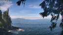 ./images/koeye/fitz-hugh/20260824/fitz-hugh20260824_112501M.jpg