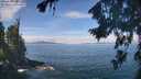 ./images/koeye/fitz-hugh/20260824/fitz-hugh20260824_113001M.jpg