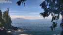 ./images/koeye/fitz-hugh/20260824/fitz-hugh20260824_114001M.jpg