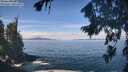 ./images/koeye/fitz-hugh/20260824/fitz-hugh20260824_114501M.jpg