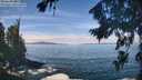 ./images/koeye/fitz-hugh/20260824/fitz-hugh20260824_115502M.jpg